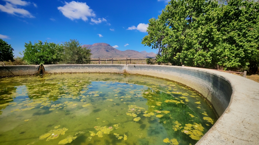 6 Bedroom Property for Sale in Middelburg Eastern Cape